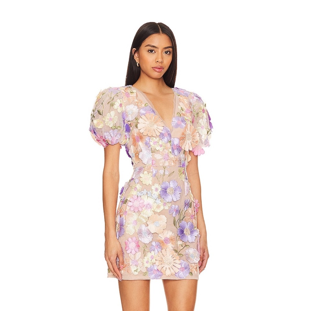 Elliat Anthena Dress Size 2